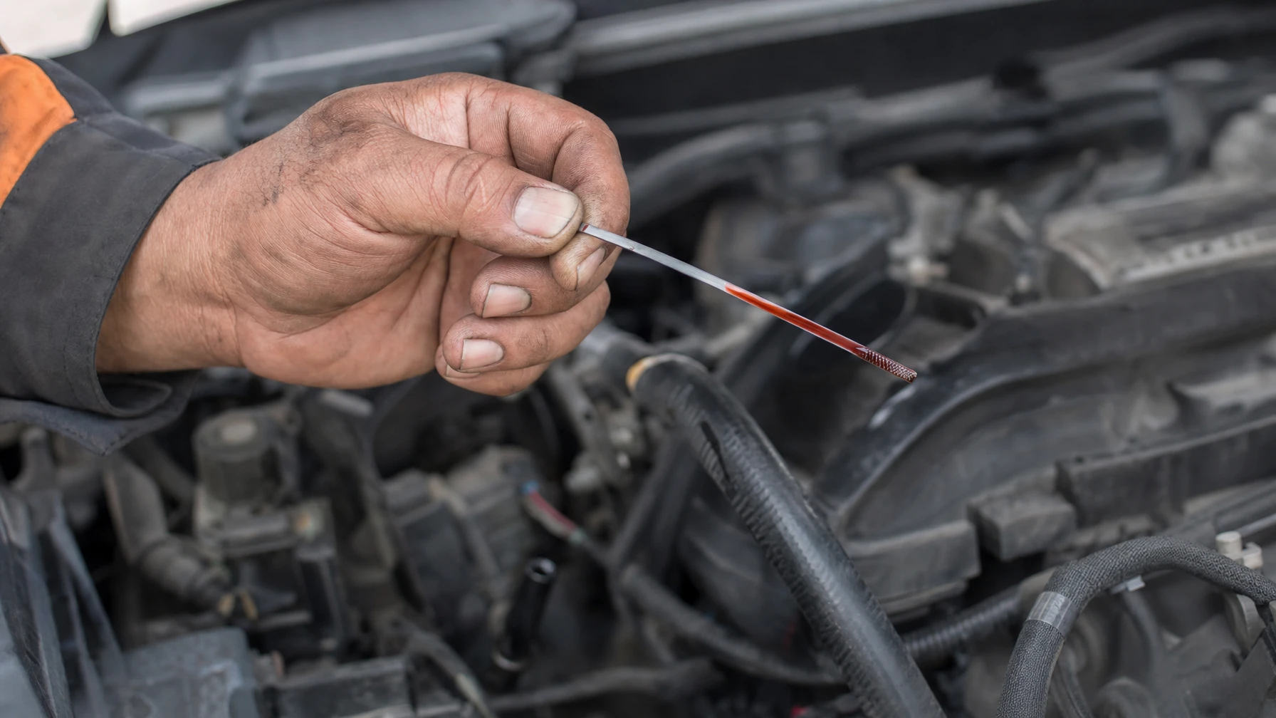 A mechanic holding a transmission dipstick showing red transmission fluid, checking it against an open engine bay